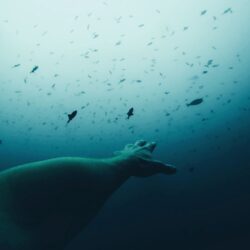 julian-paul-XPt6YCosdWE-unsplash