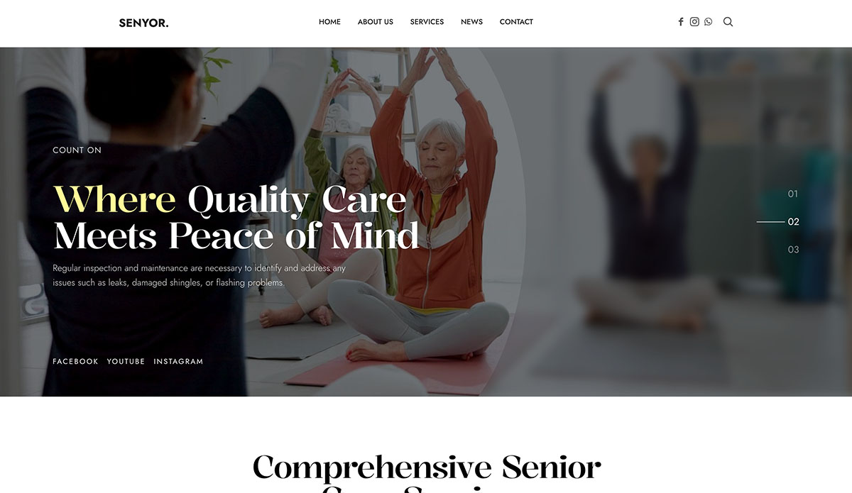 senyor wordpress theme